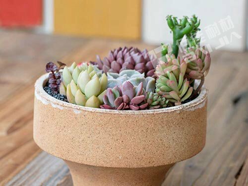 環(huán)保陶土花盆